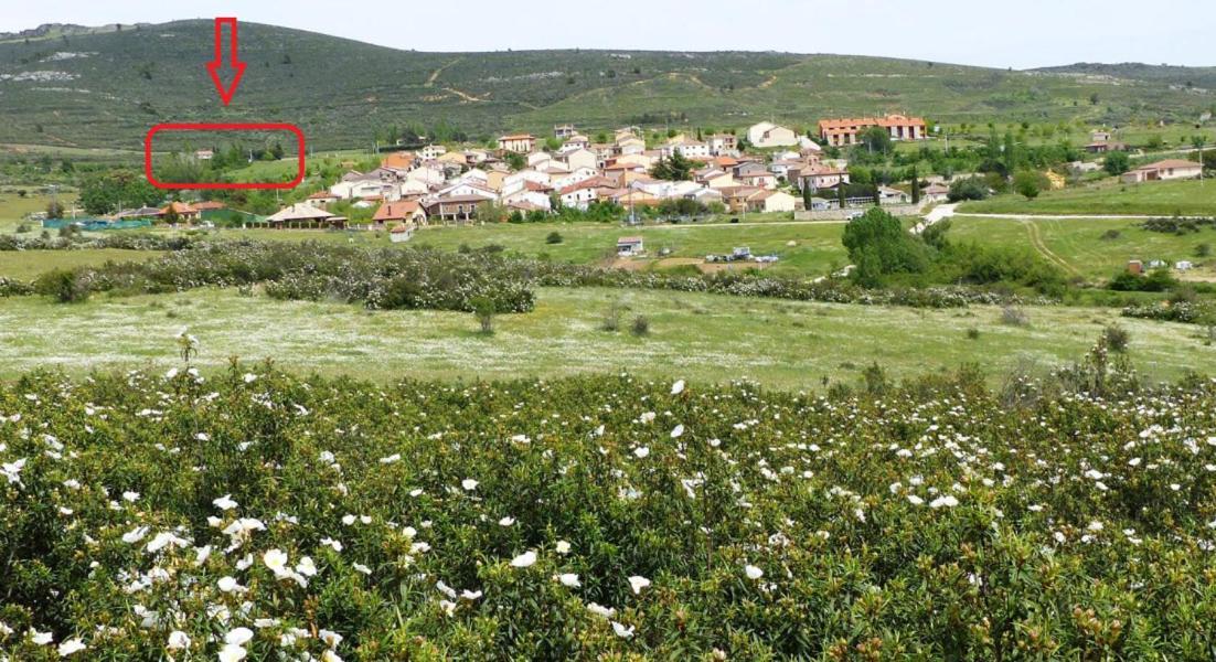 La Casa Del Ingles - Robledillo De La Jara Villa Eksteriør billede
